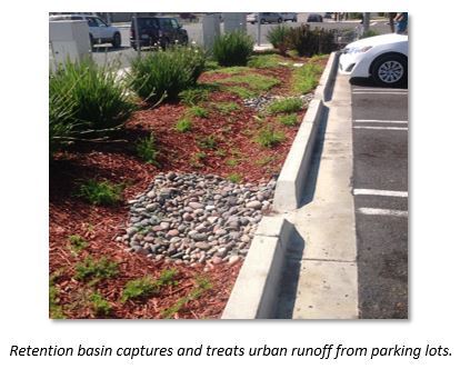 Retention Basin Captures and Treats Urban Runoff from Parking Lots