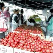 Escondido Farmer's Market